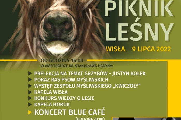 Piknik Leśny w Wiśle